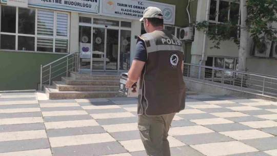 HAYDİ tarafından bulunan yavru baykuş tedavi altına alındı