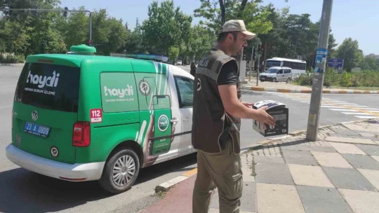 HAYDİ tarafından bulunan yavru baykuş tedavi altına alındı