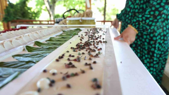 Hobi olarak başladı şimdi 45 çeşit sabun üretiyor