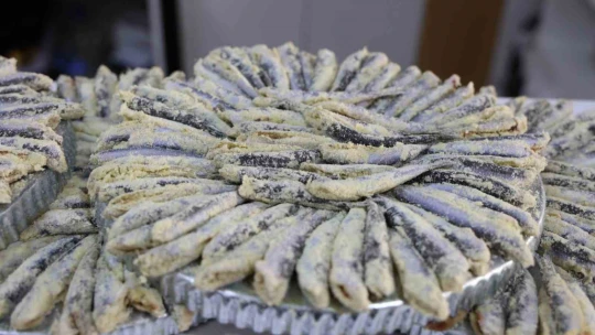 İki kardeş sırt sırta verdi, 'balık' teknesi açtı