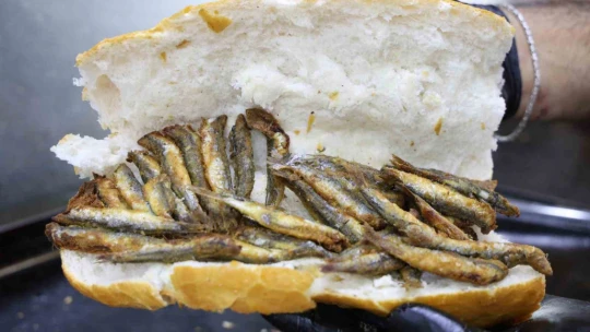 İki kardeş sırt sırta verdi, 'balık' teknesi açtı