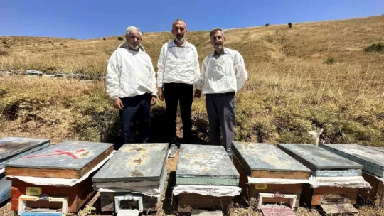 İklim değişikliği ve sıcaklık son 3 yılda bal rekoltesini yüzde 100 düşürdü