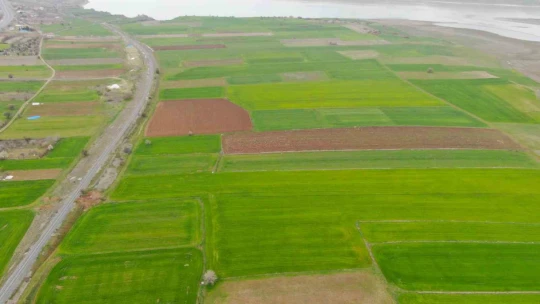 İlkbahar yağışları çiftçilerin yüzünü güldürdü