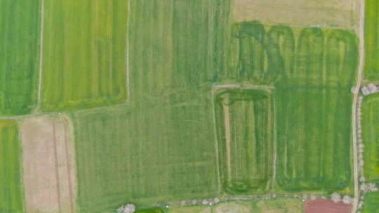 İlkbahar yağışları çiftçilerin yüzünü güldürdü