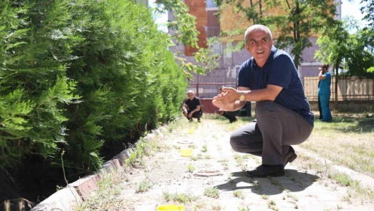 İlkokul öğrencileri sokak hayvanlarının yuvalarını onardı