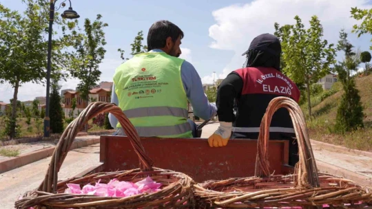 Isparta gülünden 'gül toniği' ürettiler