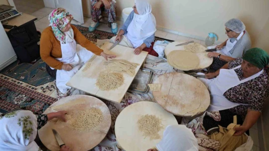 Kadınlar kurdukları kooperatifte hem sosyalleşiyor hem de ekonomilerine katkı sağlıyor