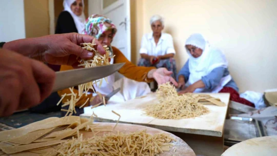 Kadınlar kurdukları kooperatifte hem sosyalleşiyor hem de ekonomilerine katkı sağlıyor