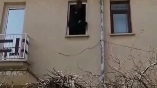 Kanadı çatı arasına sıkışan kargayı itfaiye kurtardı