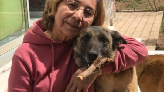 Kaybolan köpeğini bulana 10 bin lira ödül verecek