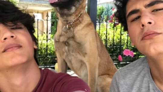 Kaybolan köpeğini bulana 10 bin lira ödül verecek