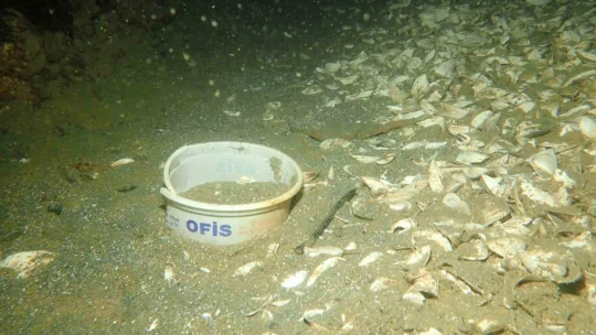 Keban Baraj Gölü'ndeki kirlilik su altı kamerası ile görüntülendi