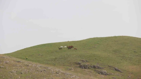 Keban Baraj Gölünde bir ilk: Su üzerinde 9 saatte 200 kilometre yol yaptılar