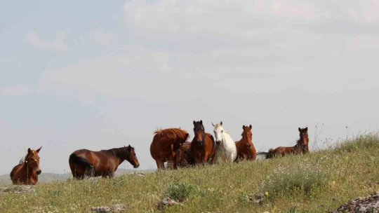 Keban Baraj Gölünde bir ilk: Su üzerinde 9 saatte 200 kilometre yol yaptılar