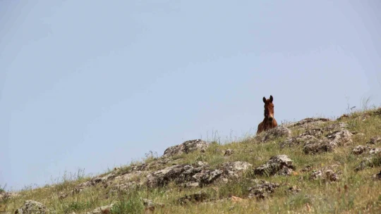 Keban Baraj Gölünde bir ilk: Su üzerinde 9 saatte 200 kilometre yol yaptılar