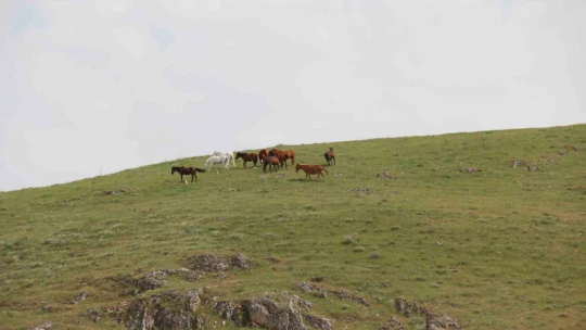 Keban Baraj Gölünde bir ilk: Su üzerinde 9 saatte 200 kilometre yol yaptılar