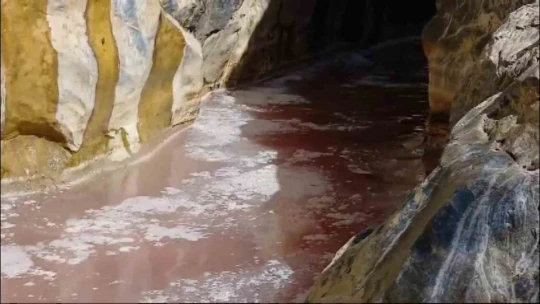 Keban'da balık işleme fabrikasının atıklarının arıtılmadan çaya döküldüğü iddiası