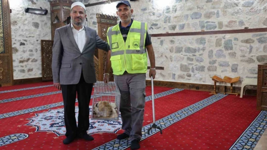 Kedi 500 yıllık caminin minberinde doğum yaptı, belediye sahip çıktı