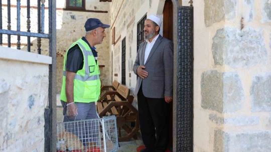 Kedi 500 yıllık caminin minberinde doğum yaptı, belediye sahip çıktı