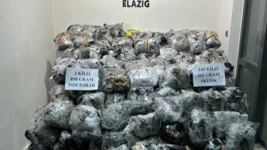 Konteyner yüklü tırda 146 kilo uyuşturucu ele geçirildi: 3 gözaltı