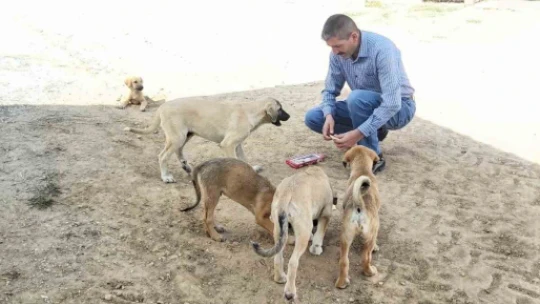 Köy muhtarının hayvan sevgisi: Çeyrek asırdır sahipsiz köpekleri besliyor