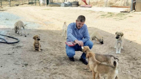 Köy muhtarının hayvan sevgisi: Çeyrek asırdır sahipsiz köpekleri besliyor