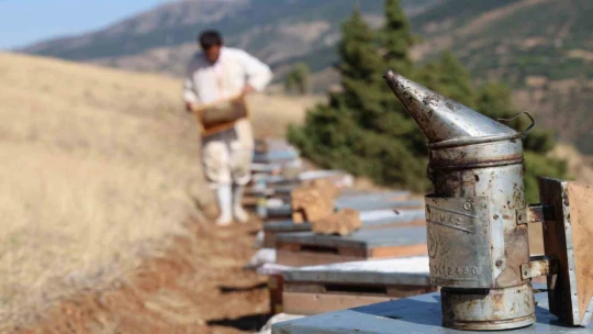 Küresel ısınma arıcıları vurdu, rekoltede bin tondan 500 tona düştü
