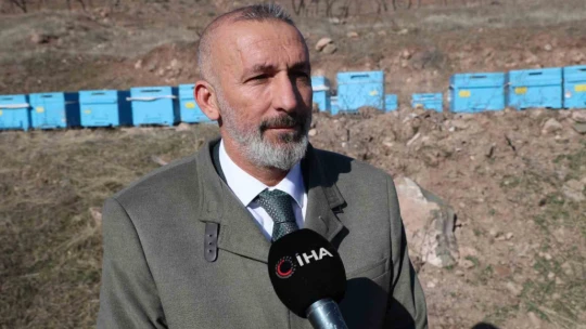 Küresel ısınma arıları da uyutmadı, tehlike kapıda