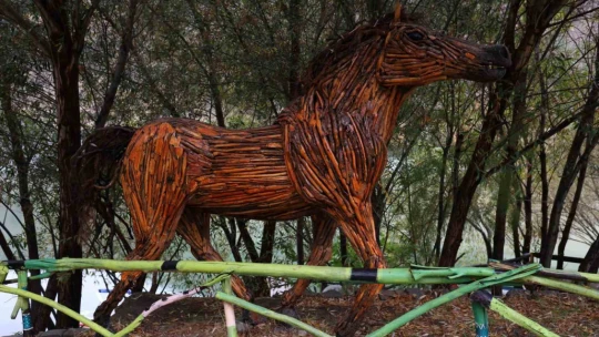 Kurumuş ağaç kökü ve dalları, sanata dönüşüyor