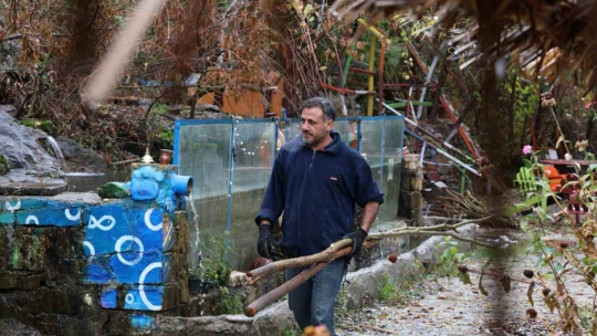 Kurumuş ağaç kökü ve dalları, sanata dönüşüyor