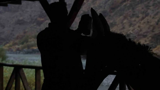 Kurumuş ağaç kökü ve dalları, sanata dönüşüyor