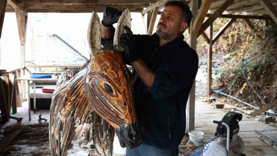 Kurumuş ağaç kökü ve dalları, sanata dönüşüyor