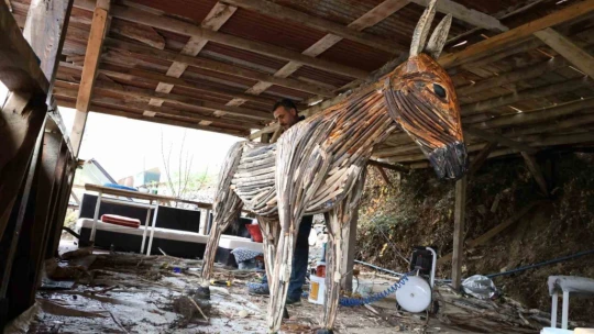 Kurumuş ağaç kökü ve dalları, sanata dönüşüyor