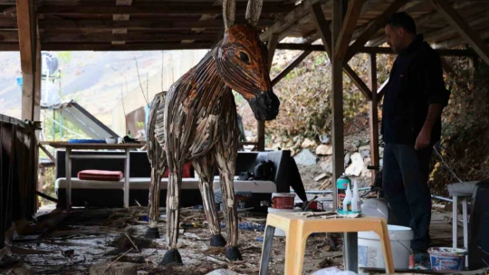 Kurumuş ağaç kökü ve dalları, sanata dönüşüyor