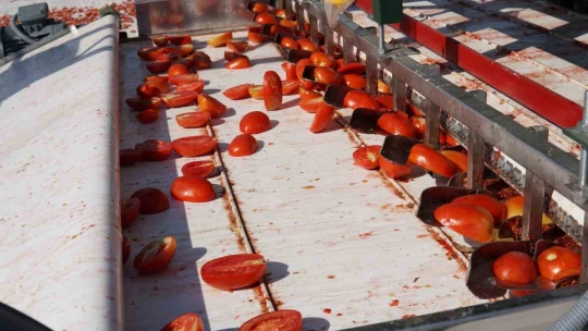 Kurutmalık domateslerle Türkiye haritası oluşturulup 'Türkiye Yüzyılı' yazıldı