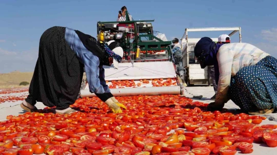 Kurutmalık domateslerle Türkiye haritası oluşturulup 'Türkiye Yüzyılı' yazıldı