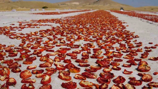 Kurutmalık domateslerle Türkiye haritası oluşturulup 'Türkiye Yüzyılı' yazıldı