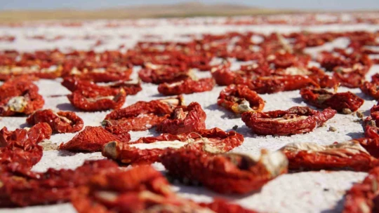 Kurutmalık domateslerle Türkiye haritası oluşturulup 'Türkiye Yüzyılı' yazıldı