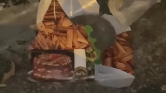 Kutudaki pastaya dadanan kirpi kameraya yakalandı