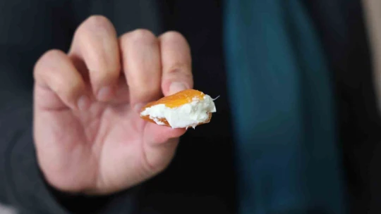 Listede kötü, ekonomide güçlü: Kayısı 112 ülkeye ihracatla 450 milyon dolar kazanç sağlıyor