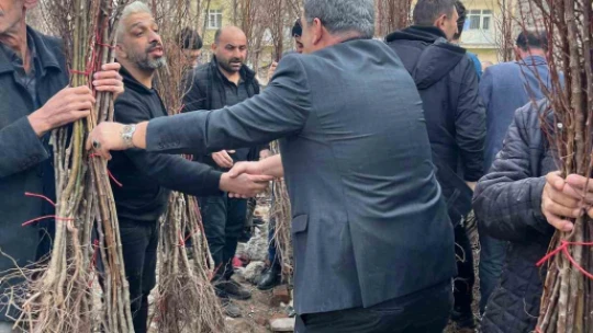 Muhtar adayı broşür yerine fidan dağıttı