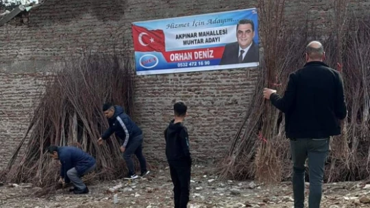 Muhtar adayı broşür yerine fidan dağıttı