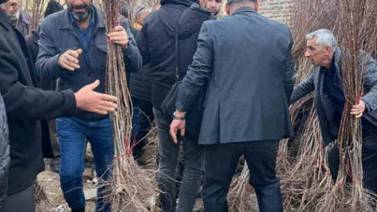 Muhtar adayı broşür yerine fidan dağıttı