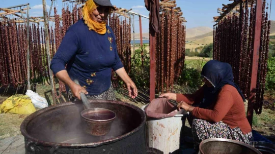 Ödüllü şef Ankara'yı bıraktı, köyünde orcik üretimine başladı
