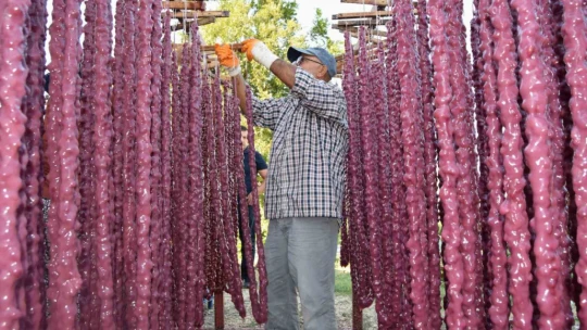 Ödüllü şef Ankara'yı bıraktı, köyünde orcik üretimine başladı