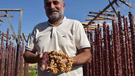 Ödüllü şef Ankara'yı bıraktı, köyünde orcik üretimine başladı