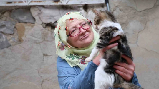 Ömrünü kedilere adadı: 11 yıldır 70 kediye bakıyor