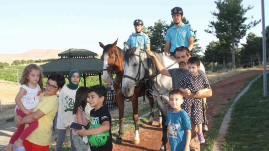 Piknik alanları 'Atlı Jandarma Timlerine' emanet