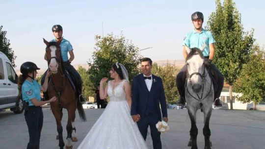 Piknik alanları 'Atlı Jandarma Timlerine' emanet