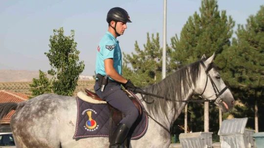 Piknik alanları 'Atlı Jandarma Timlerine' emanet